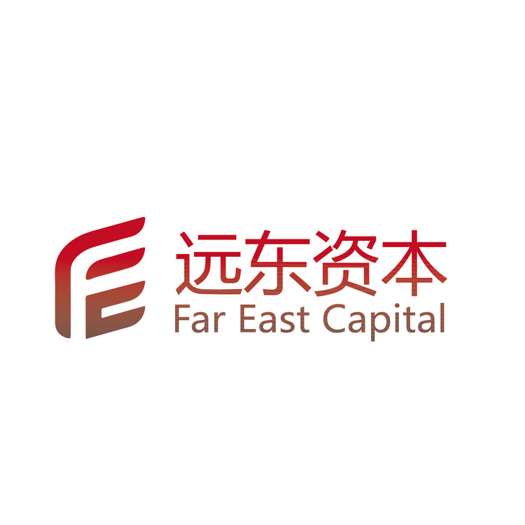 远东资本logo