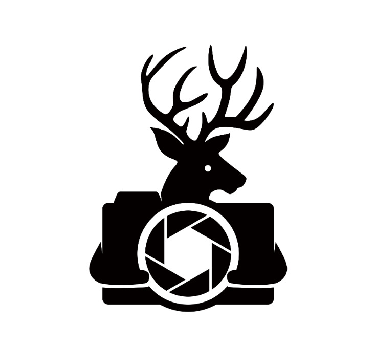 重庆鹿鸣摄影工作室logo