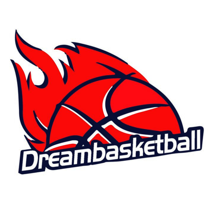 追梦篮球logo