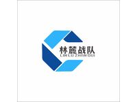 林麓战队