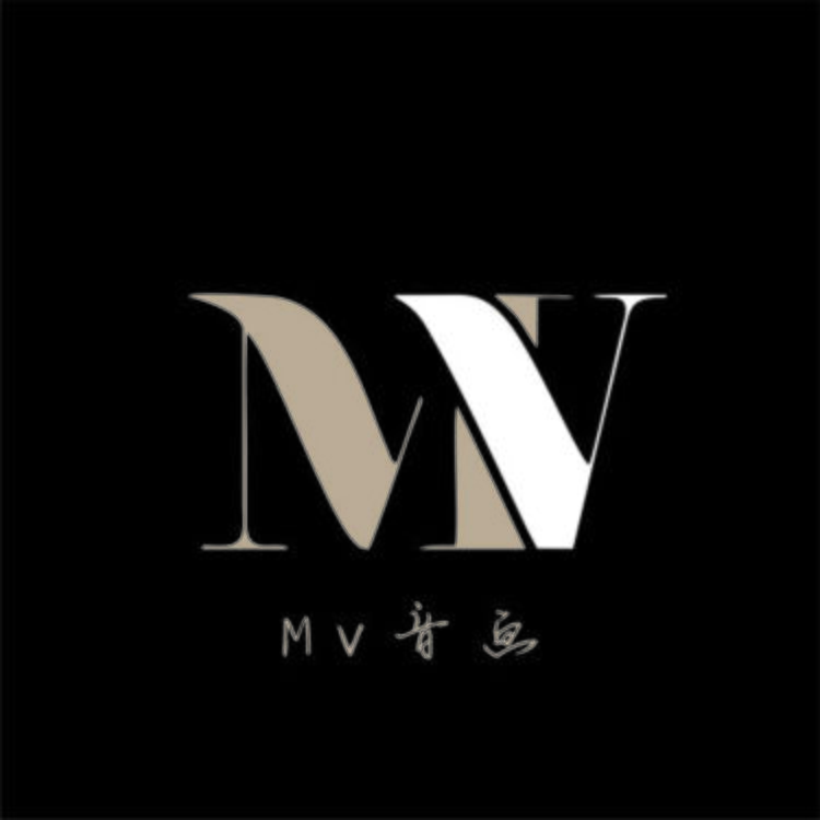 MV音画logo