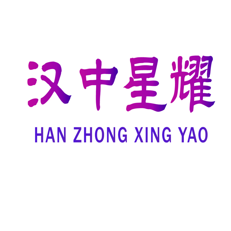 汉中星耀logo