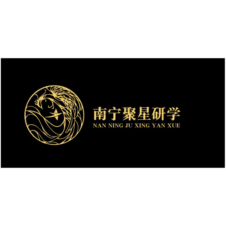 南宁聚星logo