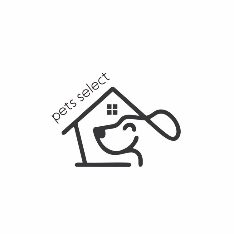 狗狗85logo