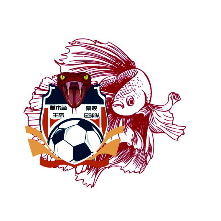 足球队logo