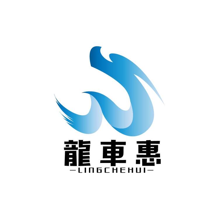 龙车惠logo